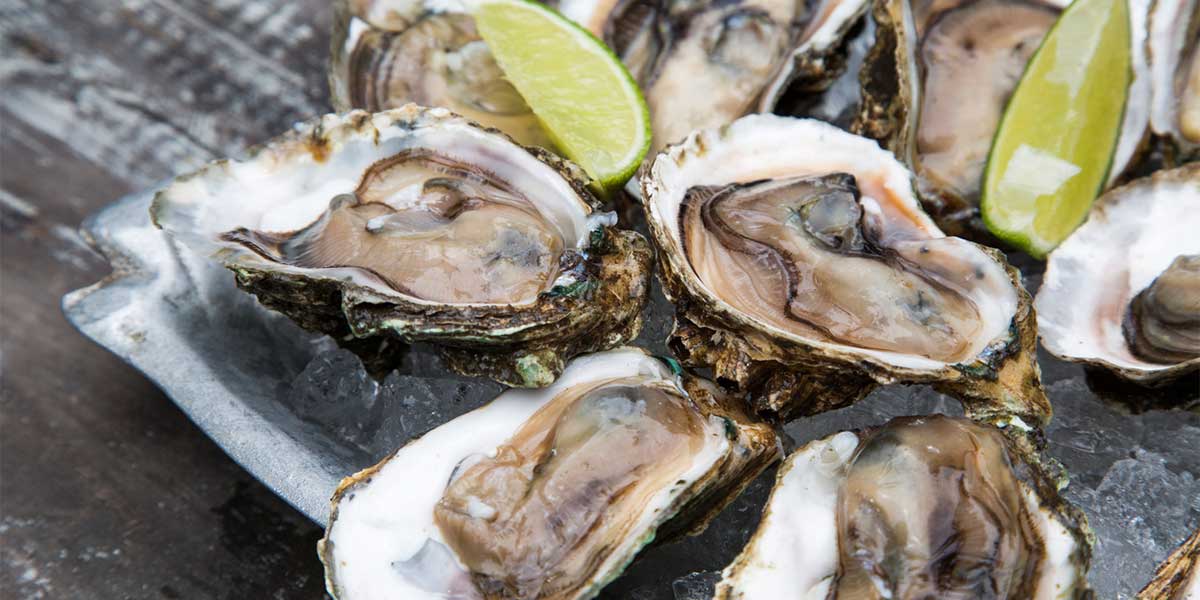 Tasty oysters on ice with lemon. Wood background.