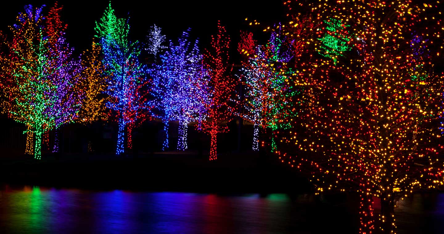 Holiday Lights in the Park
